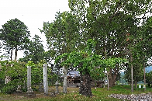 c0168815_23435657.jpg