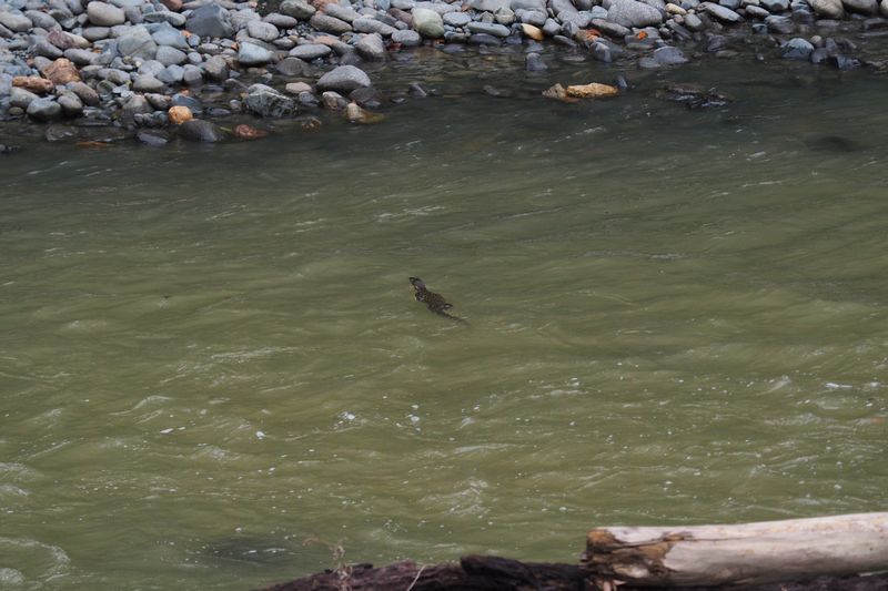c0369423_2141477.jpg