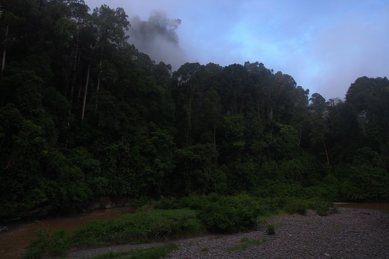 c0369423_2154573.jpg