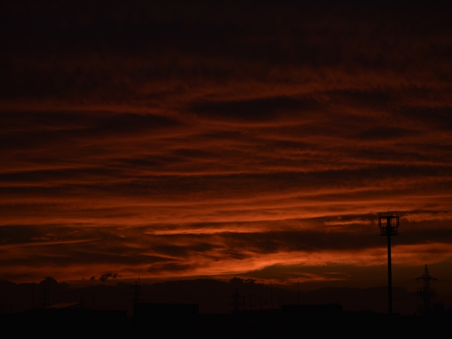 e0098223_21545679.jpg