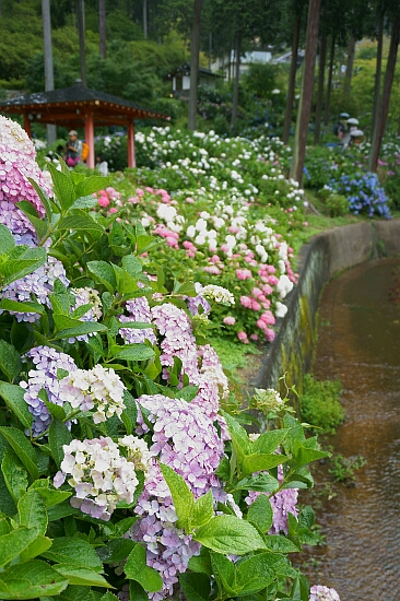 f0037227_0323931.jpg