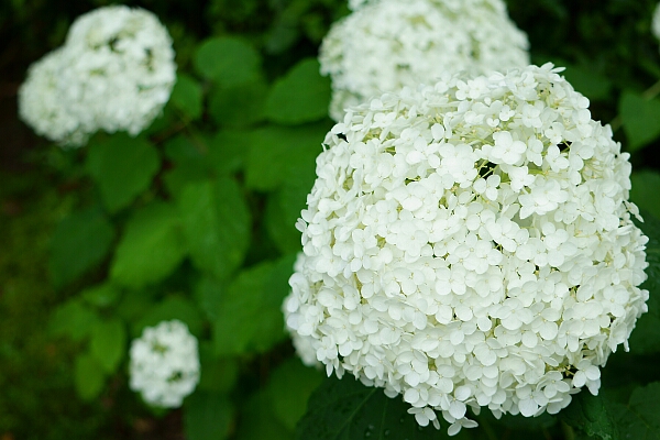 f0037227_037259.jpg