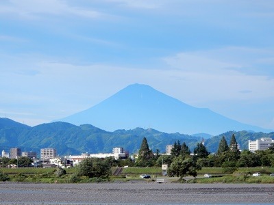 e0033229_20312162.jpg