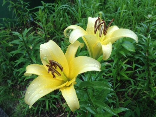 c0143330_23485034.jpg
