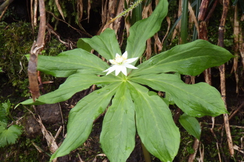 f0118332_22251088.jpg