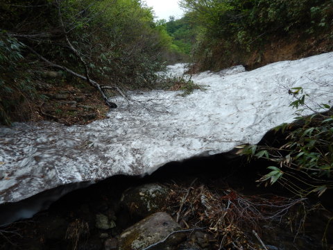 f0118332_22265766.jpg