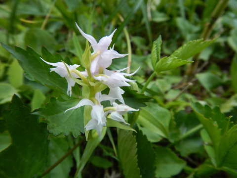 f0118332_22300981.jpg