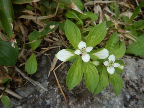 f0118332_22311847.jpg