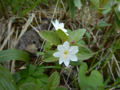 f0118332_22351633.jpg