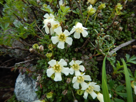 f0118332_22364080.jpg