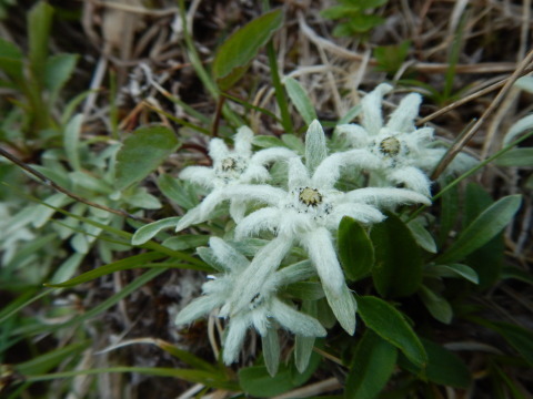f0118332_22385931.jpg