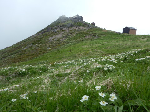 f0118332_22392390.jpg