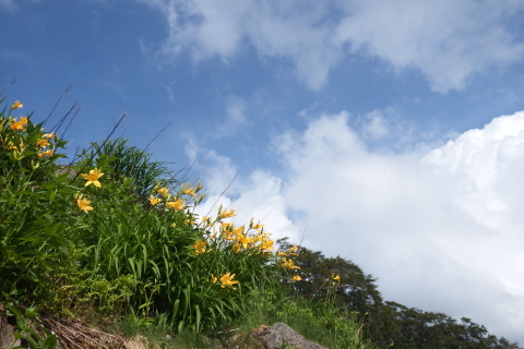 f0118332_22432213.jpg