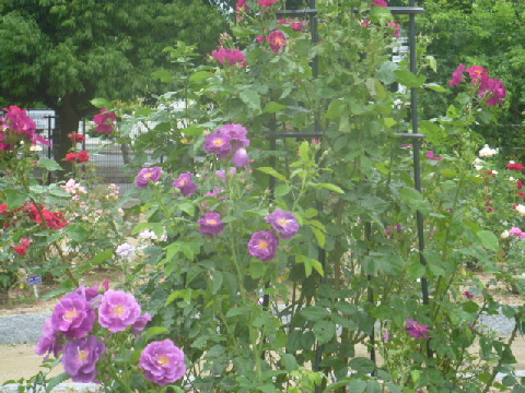 b0246036_14182935.jpg
