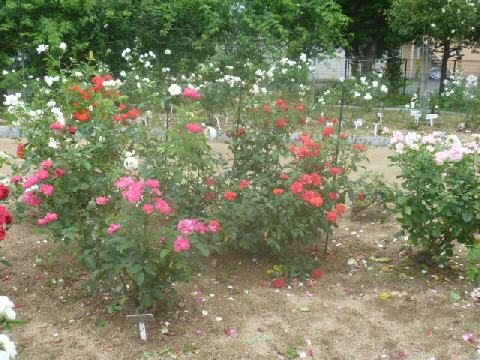 b0246036_14212330.jpg