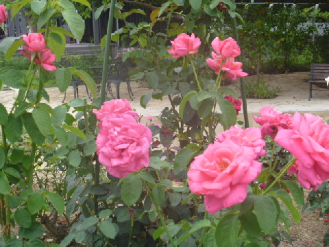 b0246036_14215854.jpg