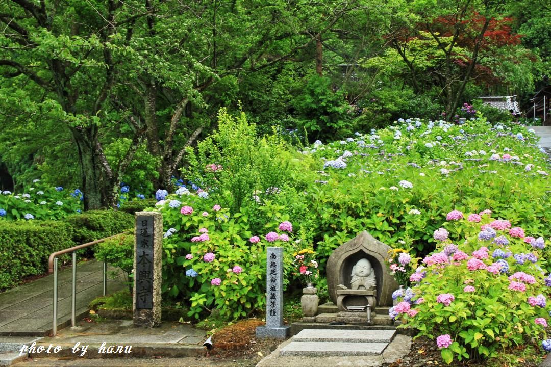 f0297537_19542267.jpg