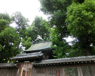 e0035757_17242181.jpg