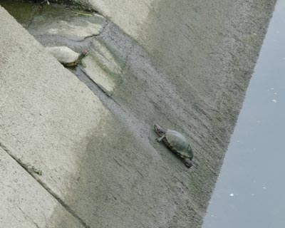 e0035757_17273873.jpg