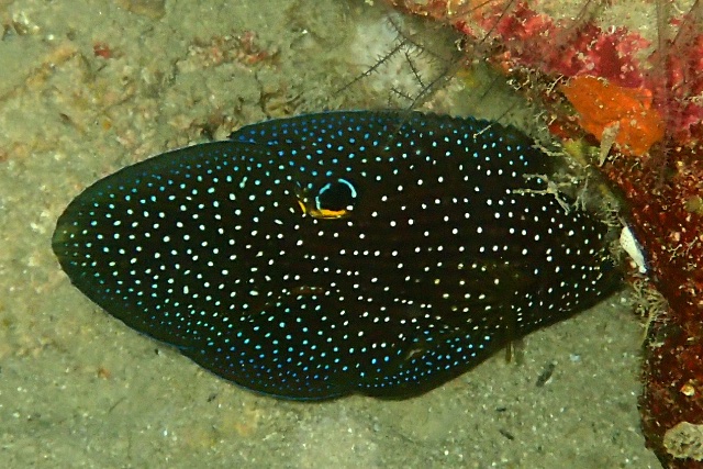 b0062363_151654100.jpg