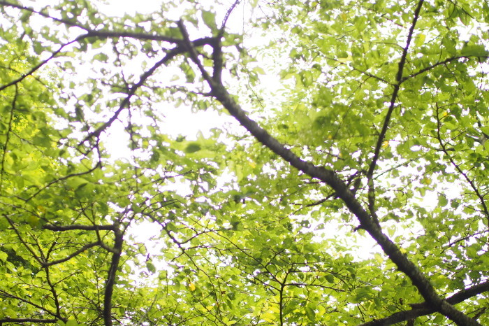e0307372_23585873.jpg