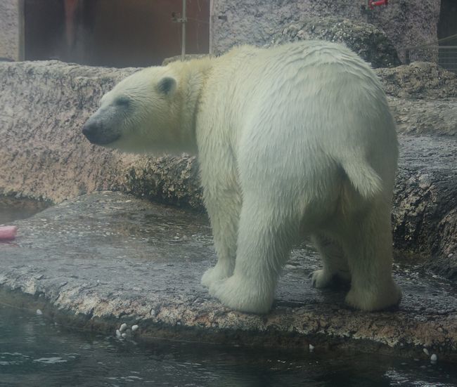 b0014576_03252745.jpg