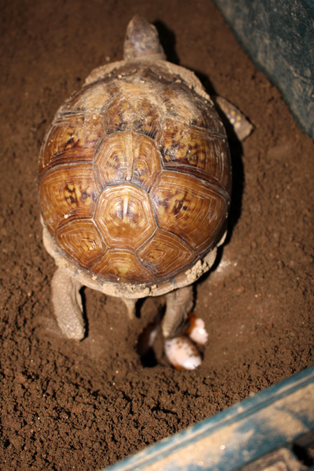 e0018082_22371873.jpg