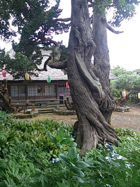 c0204385_18280164.jpg