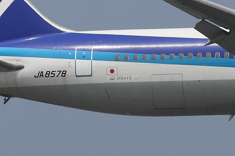 e0204891_2045753.jpg