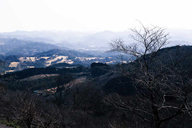 e0216492_441715.jpg