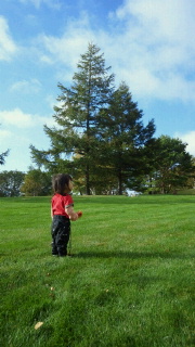 c0122793_16254656.jpg