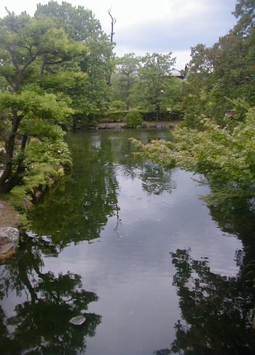 d0053294_1263462.jpg