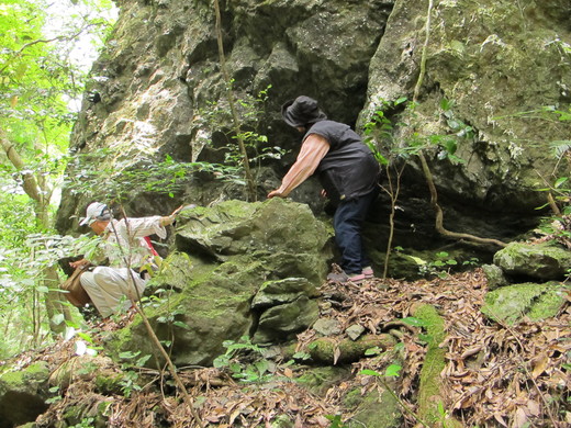 b0049200_17203261.jpg