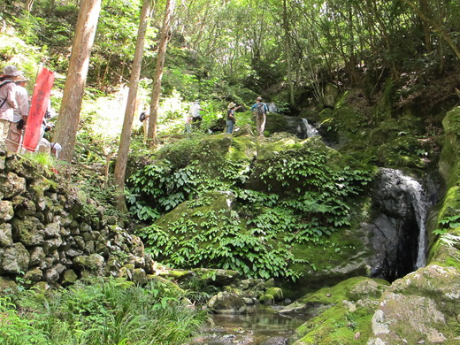 b0049200_173442100.jpg