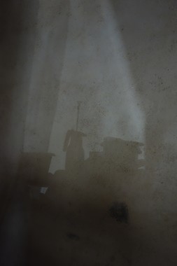 e0206902_535598.jpg