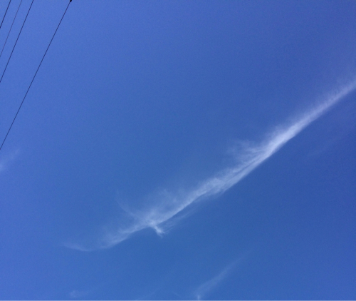 b0349003_21001269.jpg