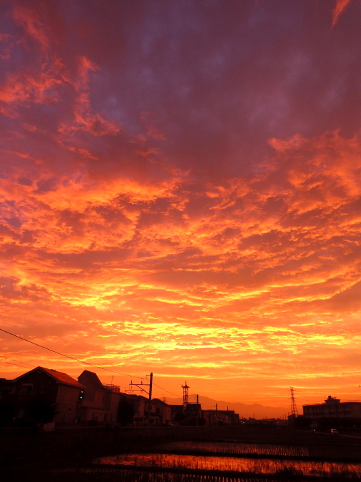 b0042527_08020635.jpg