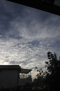 d0165527_6114797.jpg