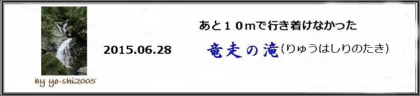 e0033229_19341673.jpg