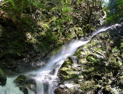 e0033229_21143240.jpg