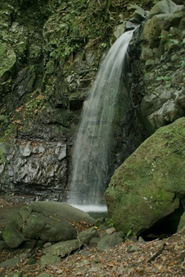 e0033229_21294896.jpg