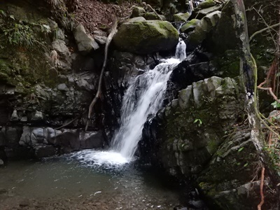 e0033229_21301931.jpg