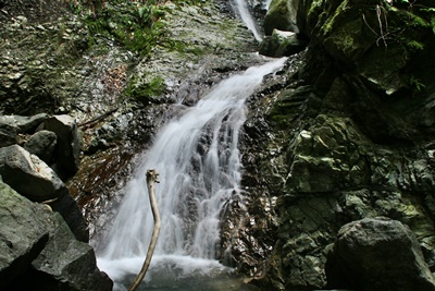 e0033229_2152427.jpg