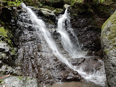 e0033229_2165118.jpg