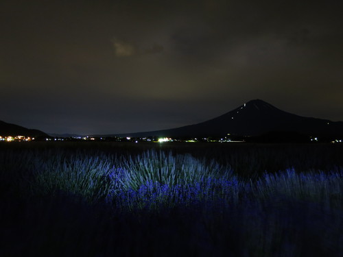 e0321032_17184254.jpg