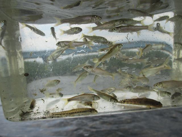 f0321433_22020109.jpg
