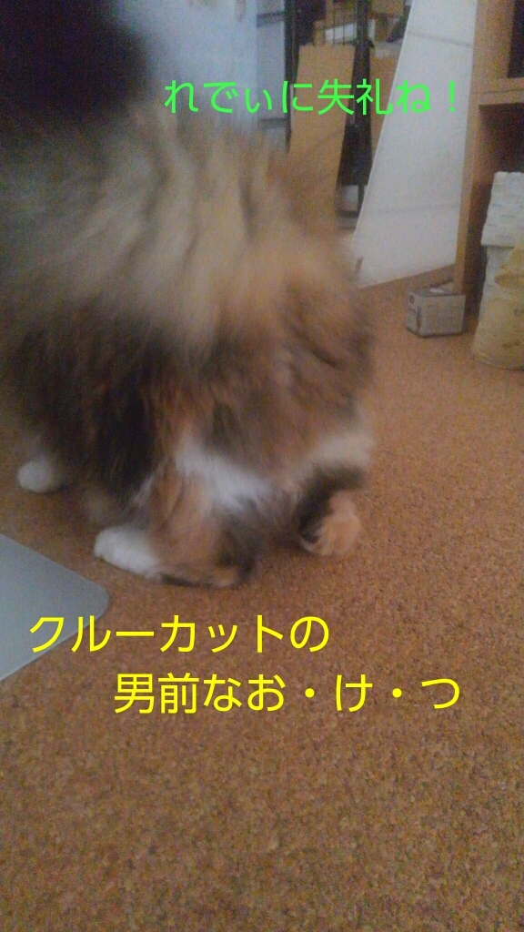 c0181639_20104160.jpg