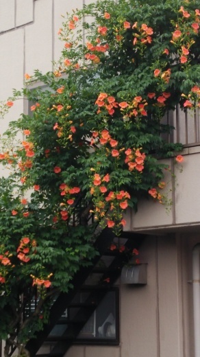f0309148_20004415.jpg
