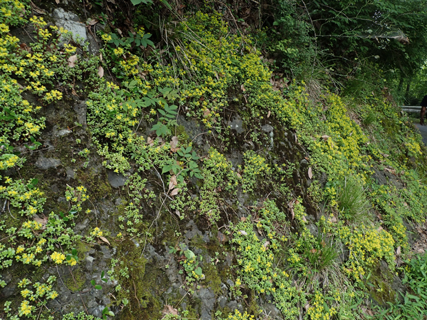 f0214649_17323169.jpg