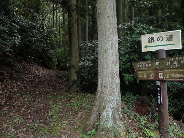 f0214649_6504285.jpg